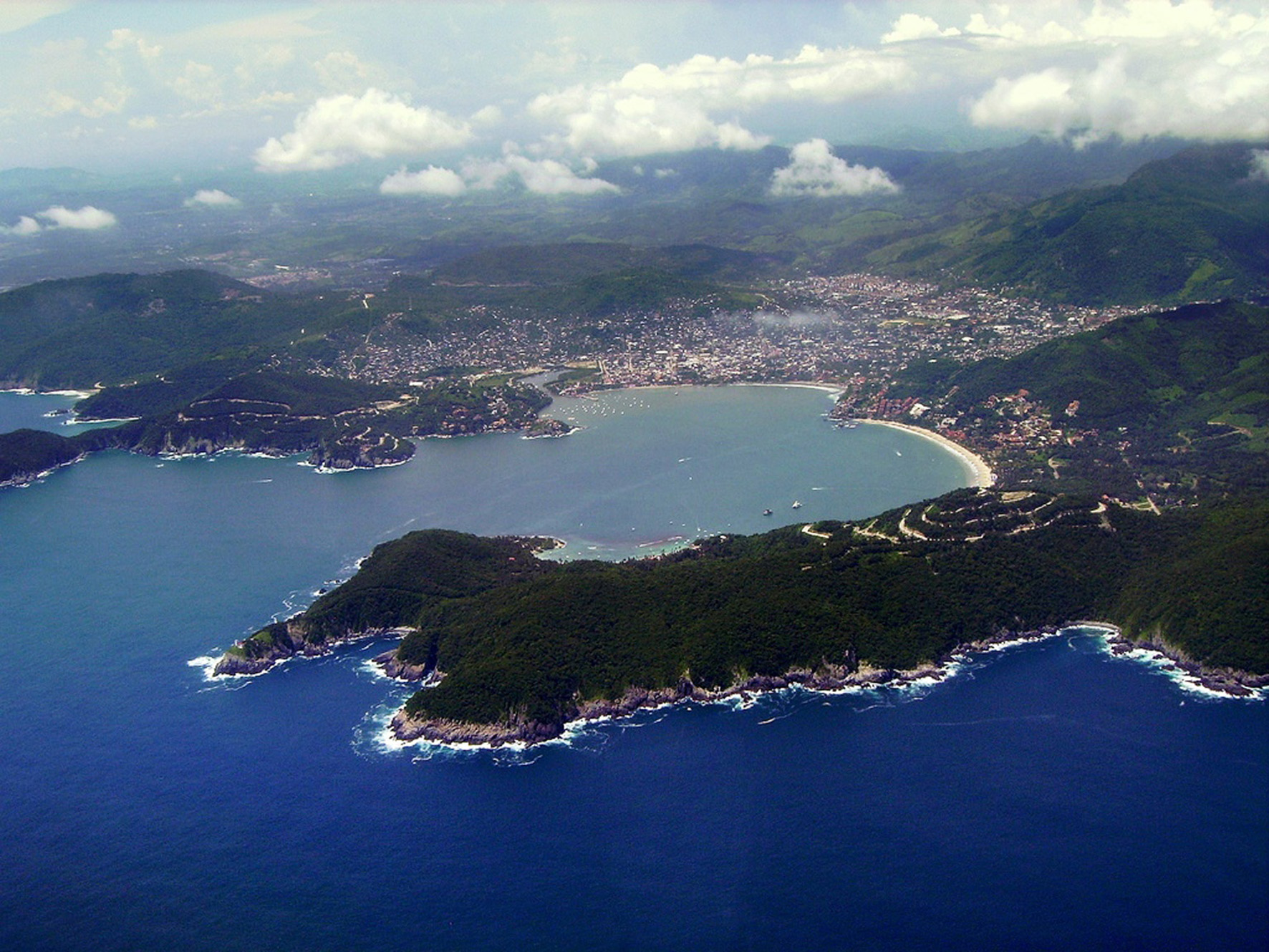 articulo